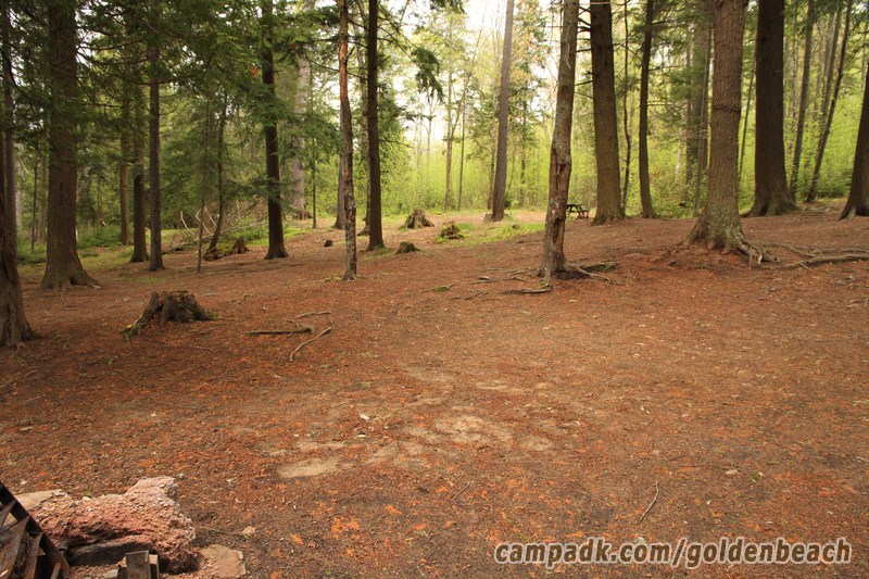 Campsite Photo of Site 100 at Golden Beach Campground, New York - Cross Site View