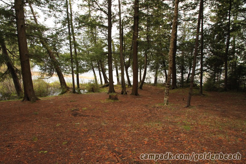 Campsite Photo of Site 100 at Golden Beach Campground, New York - Pathway Down to Water