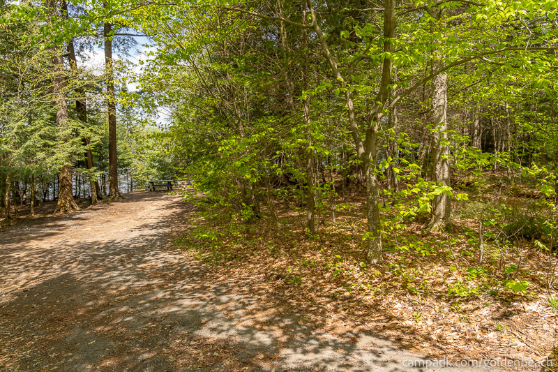Campsite Photo of Site 200 at Golden Beach Campground, New York - Looking at Site from Part Way In