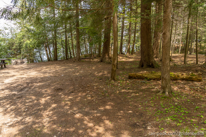 Campsite Photo of Site 200 at Golden Beach Campground, New York - Looking at Site from Part Way In
