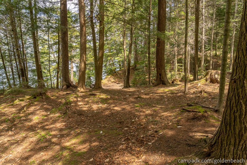 Campsite Photo of Site 200 at Golden Beach Campground, New York - Looking at Site from Part Way In