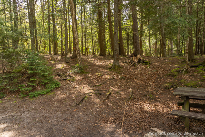 Campsite Photo of Site 200 at Golden Beach Campground, New York - Looking Back Towards Road