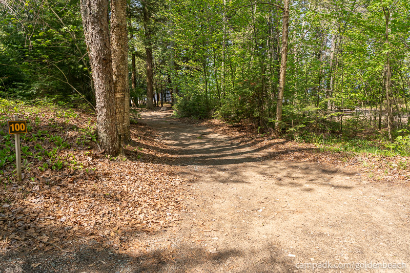 Campsite Photo of Site 100 at Golden Beach Campground, New York - Looking at Site from Road Sign Visible