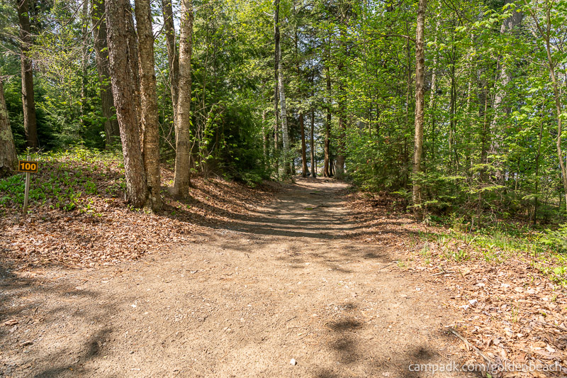 Campsite Photo of Site 100 at Golden Beach Campground, New York - Looking at Site from Road Sign Visible