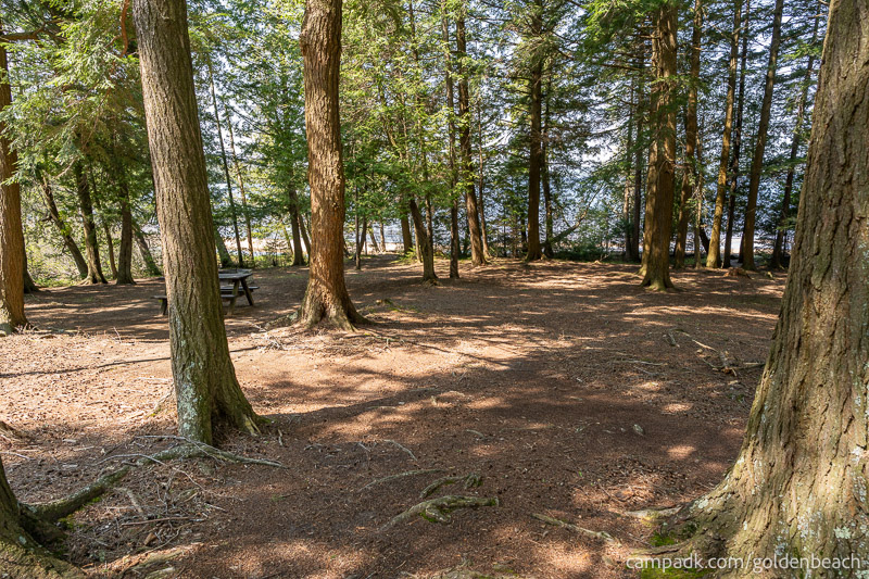 Campsite Photo of Site 100 at Golden Beach Campground, New York - Looking at Site from Part Way In