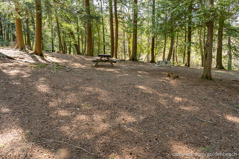 Campsite Photo of Site 100 at Golden Beach Campground, New York - Cross Site View