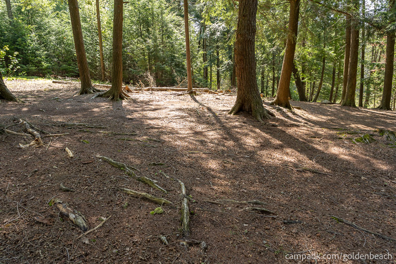 Campsite Photo of Site 100 at Golden Beach Campground, New York - Cross Site View