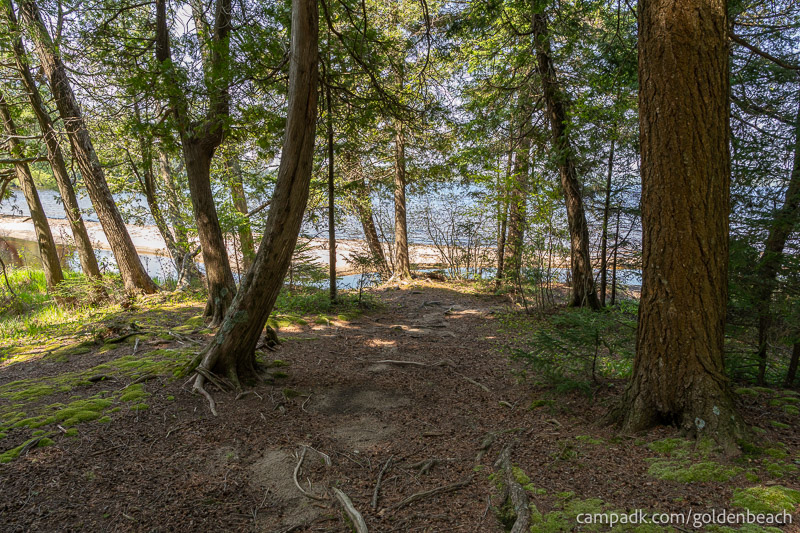 Campsite Photo of Site 100 at Golden Beach Campground, New York - Pathway Down to Water