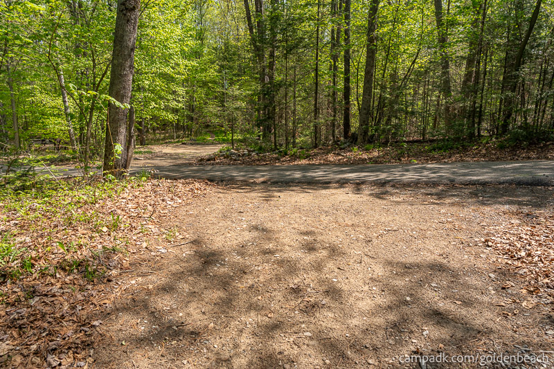 Campsite Photo of Site 100 at Golden Beach Campground, New York - Looking Back Towards Road