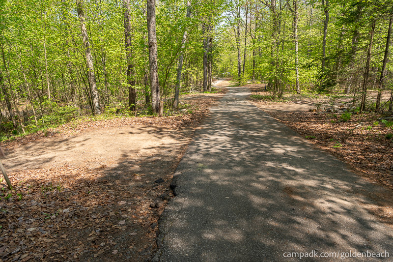 Campsite Photo of Site 100 at Golden Beach Campground, New York - View Down Road from Campsite