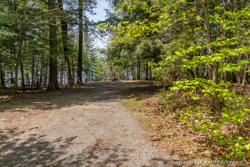 Campsite Photo of Site 200 at Golden Beach Campground, New York - Looking at Site from Road