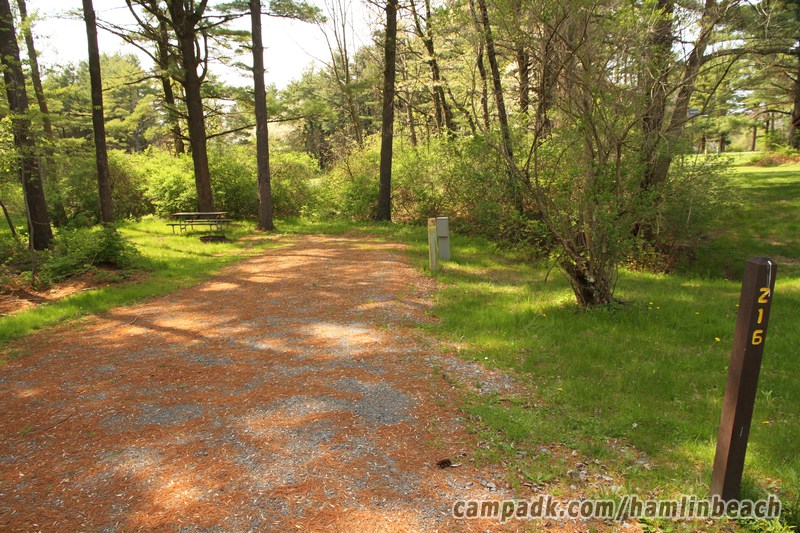 Campsite Photo of Site 216 at Hamlin Beach State Park, New York - Looking at Site from Road Sign Visible