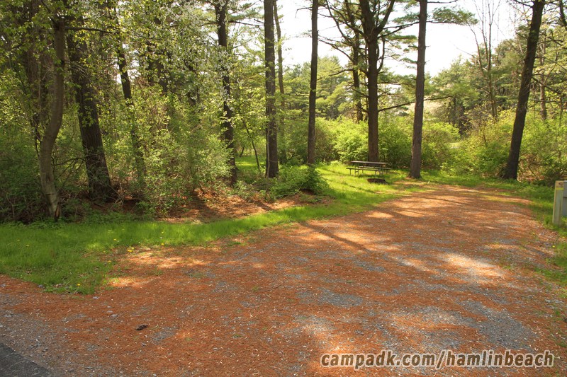 Campsite Photo of Site 216 at Hamlin Beach State Park, New York - Looking at Site from Road