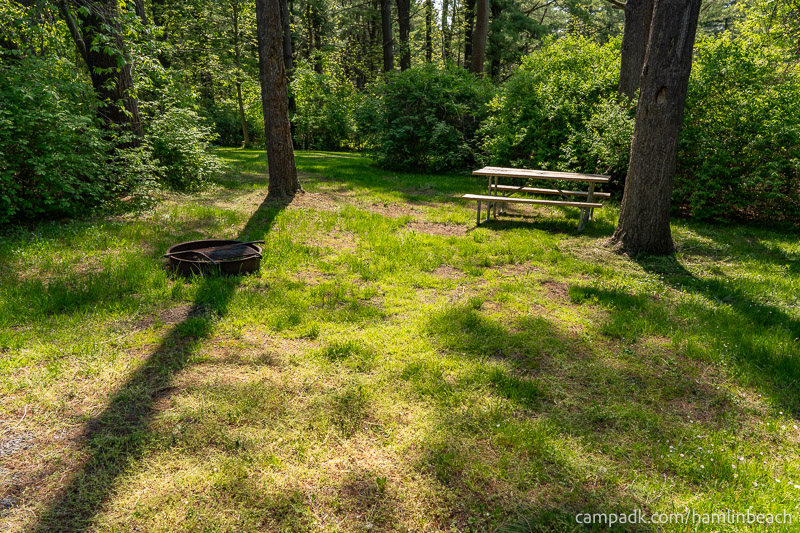 Campsite Photo of Site 216 at Hamlin Beach State Park, New York - Cross Site View