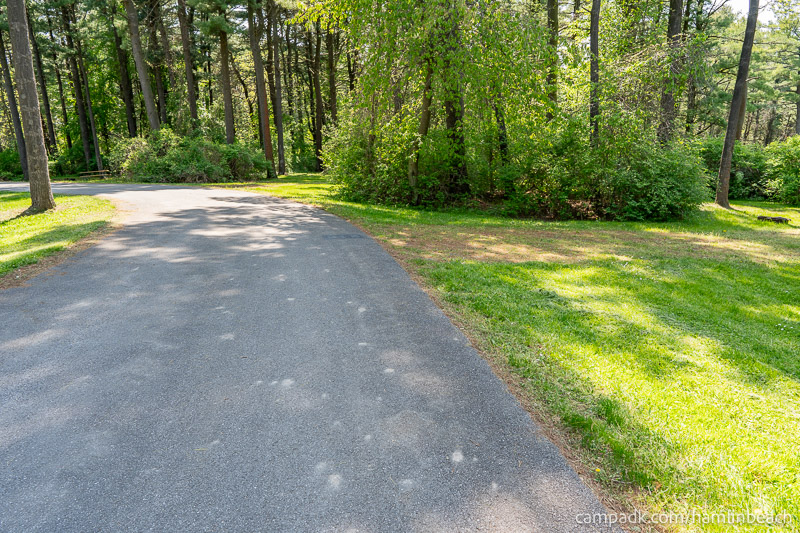 Campsite Photo of Site 216 at Hamlin Beach State Park, New York - View Down Road from Campsite