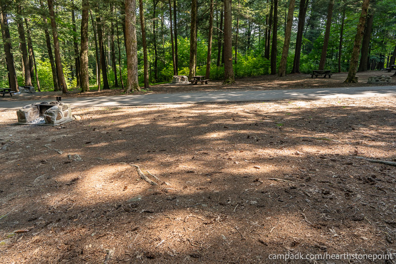 Campsite Photo of Site 44 at Hearthstone Point Campground, New York - Looking Back Towards Road