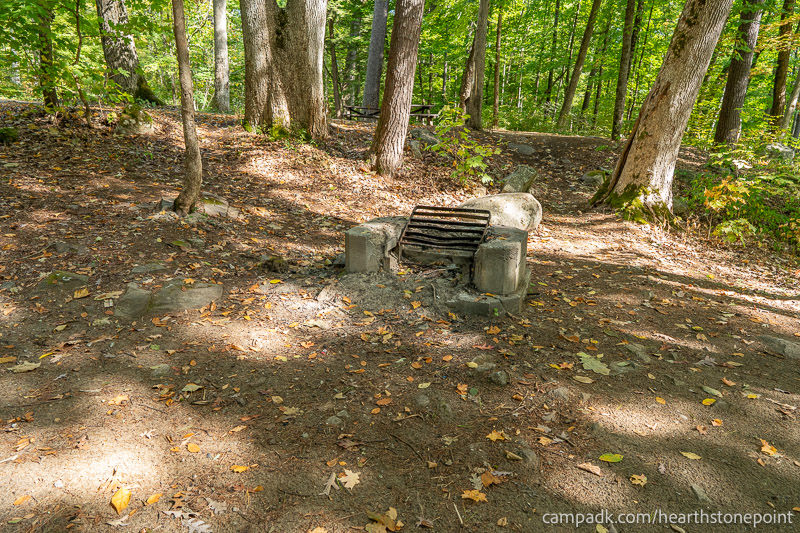 Campsite Photo of Site 105 at Hearthstone Point Campground, New York - Fireplace View