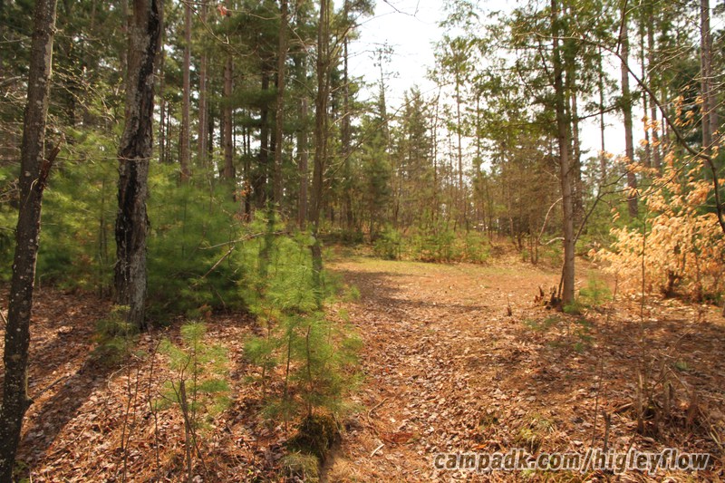 Campsite Photo of Site 34 at Higley Flow State Park, New York - Returning Along Pathway from Water