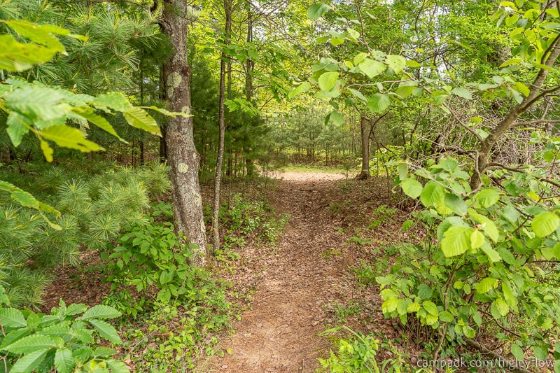Campsite Photo of Site 34 at Higley Flow State Park, New York - Returning Along Pathway from Water