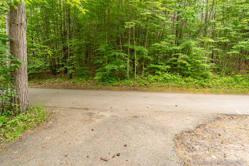 Campsite Photo of Site 94 at Higley Flow State Park, New York - Looking Back Towards Road