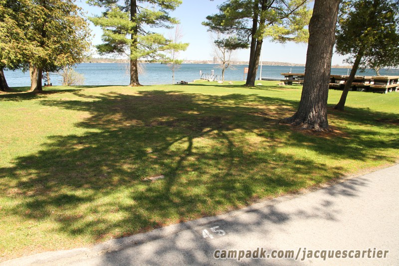 Campsite Photo of Site 45 at Jacques Cartier State Park, New York - Looking at Site from Road Sign Visible