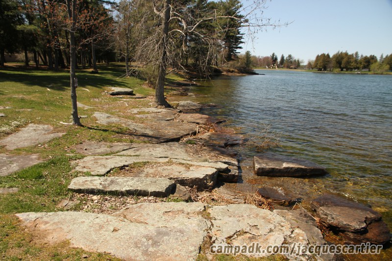 Campsite Photo of Site 45 at Jacques Cartier State Park, New York - Shoreline