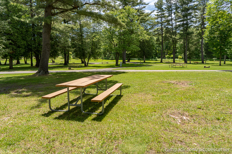 Campsite Photo of Site 45 at Jacques Cartier State Park, New York - Looking Back Towards Road