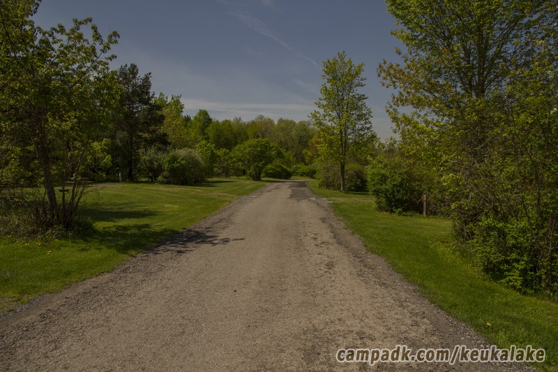 Campsite Photo of Site 134 at Keuka Lake State Park, New York - View Down Road from Campsite