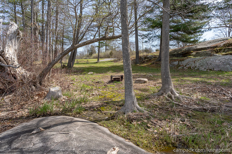 Campsite Photo of Site 2 at Kring Point State Park, New York - Returning Along Pathway from Water