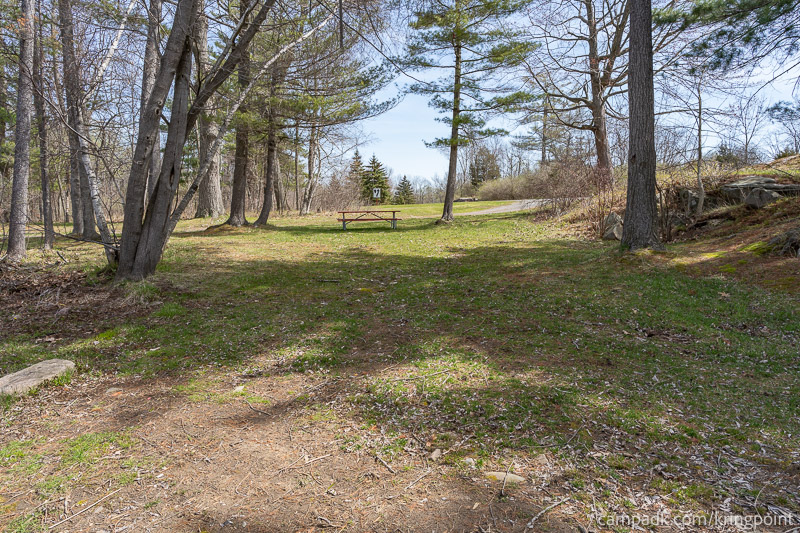 Campsite Photo of Site 2 at Kring Point State Park, New York - Looking Back Towards Road