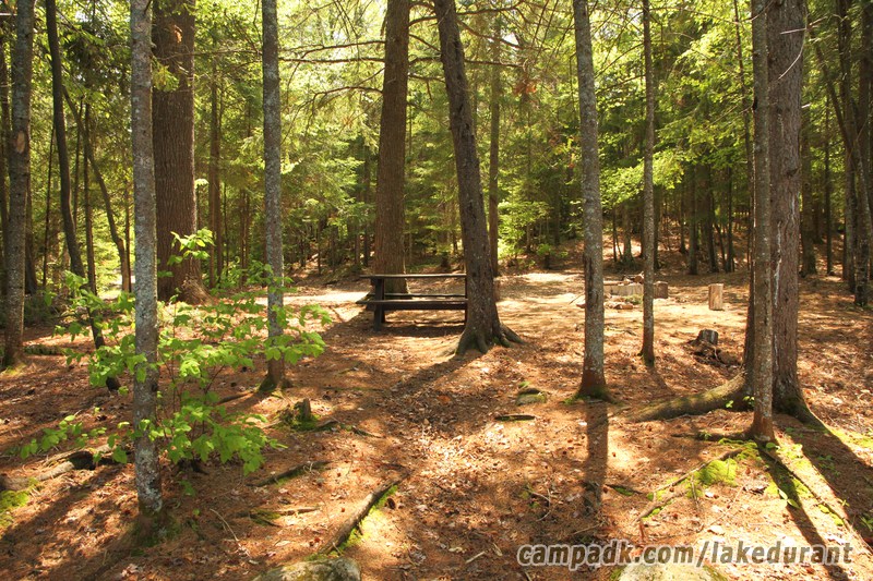 Campsite Photo of Site 42 at Lake Durant Campground, New York - Returning Along Pathway from Water