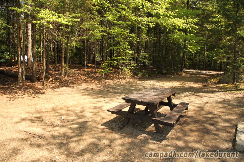Campsite Photo of Site 51 at Lake Durant Campground, New York - Looking Back Towards Road