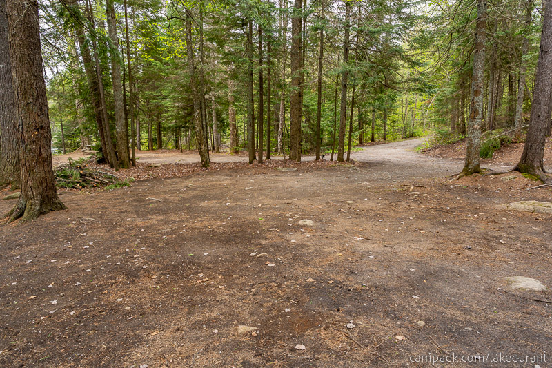 Campsite Photo of Site 42 at Lake Durant Campground, New York - Cross Site View