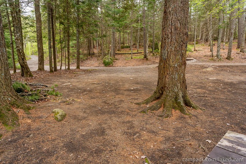 Campsite Photo of Site 42 at Lake Durant Campground, New York - Looking Back Towards Road