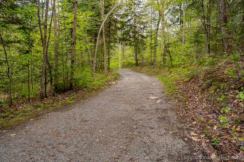 Campsite Photo of Site 42 at Lake Durant Campground, New York - Looking Back Towards Road