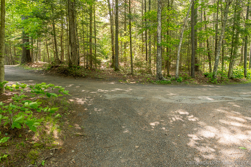Campsite Photo of Site 51 at Lake Durant Campground, New York - Looking Back Towards Road
