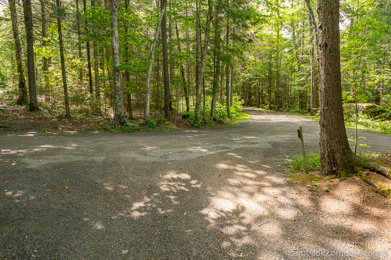 Campsite Photo of Site 51 at Lake Durant Campground, New York - Looking Back Towards Road