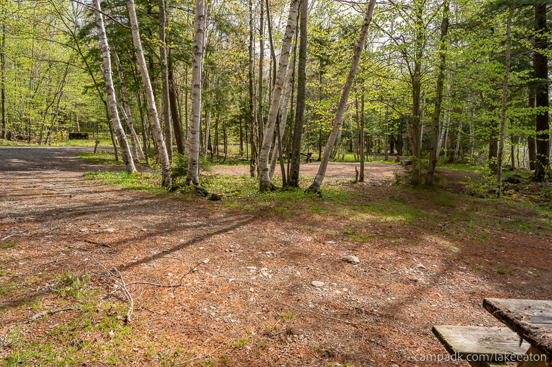 Campsite Photo of Site 47 at Lake Eaton Campground, New York - Cross Site View