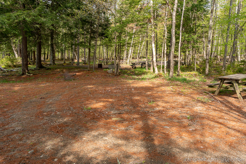 Campsite Photo of Site 47 at Lake Eaton Campground, New York - Cross Site View