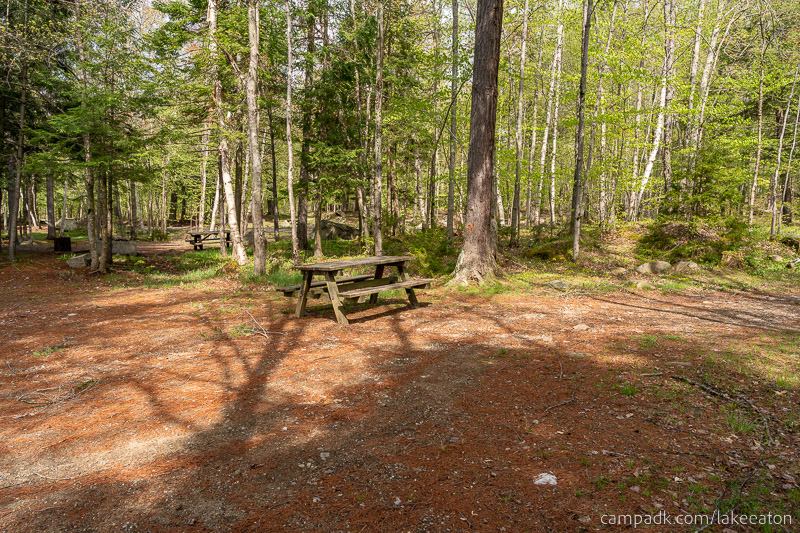 Campsite Photo of Site 47 at Lake Eaton Campground, New York - Cross Site View