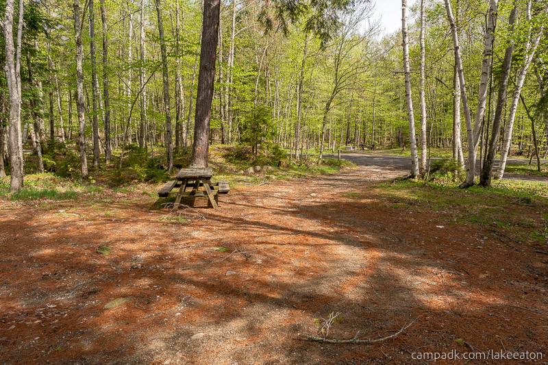 Campsite Photo of Site 47 at Lake Eaton Campground, New York - Looking Back Towards Road