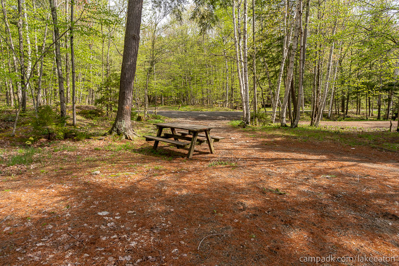 Campsite Photo of Site 47 at Lake Eaton Campground, New York - Looking Back Towards Road