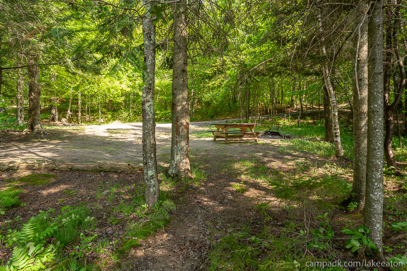Campsite Photo of Site 100 at Lake Eaton Campground, New York - Returning Along Pathway from Water