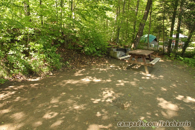 Campsite Photo of Site 39 at Lake Harris Campground, New York - Cross Site View