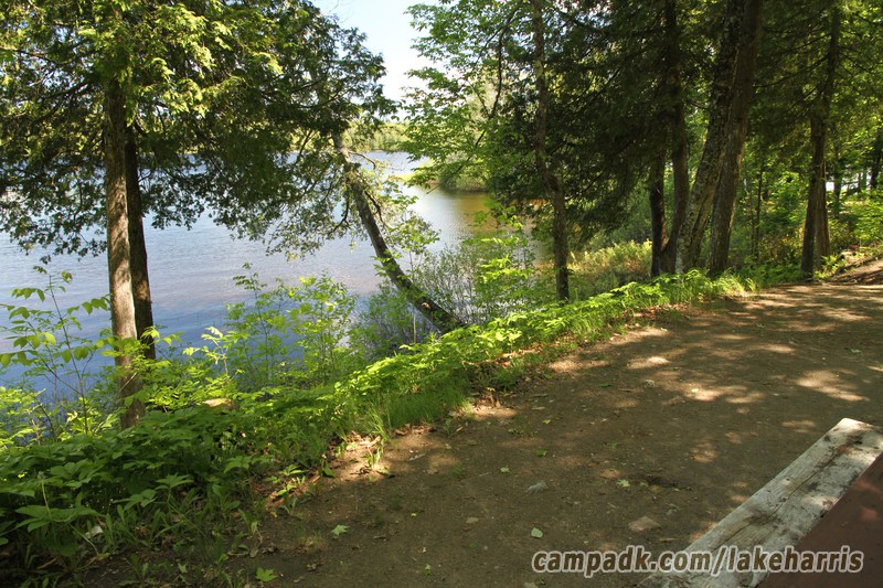 Campsite Photo of Site 39 at Lake Harris Campground, New York - Fireplace View