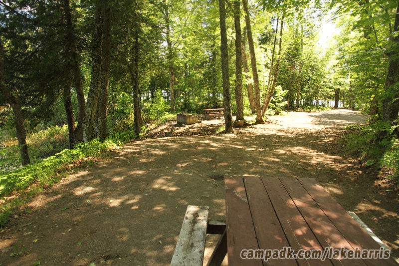 Campsite Photo of Site 39 at Lake Harris Campground, New York - Looking Back Towards Road