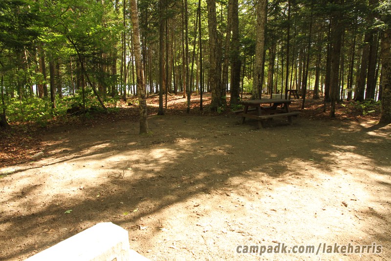 Campsite Photo of Site 51 at Lake Harris Campground, New York - Cross Site View