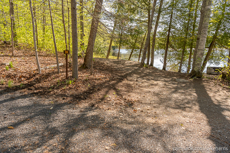 Campsite Photo of Site 39 at Lake Harris Campground, New York - Looking at Site from Road Sign Visible