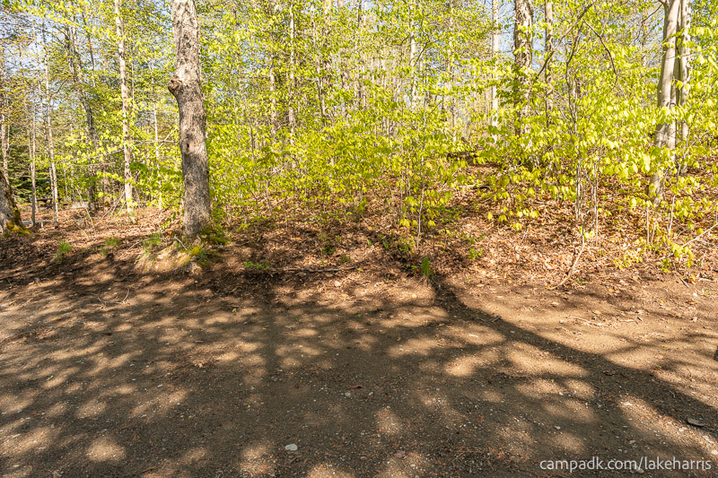 Campsite Photo of Site 39 at Lake Harris Campground, New York - Cross Site View