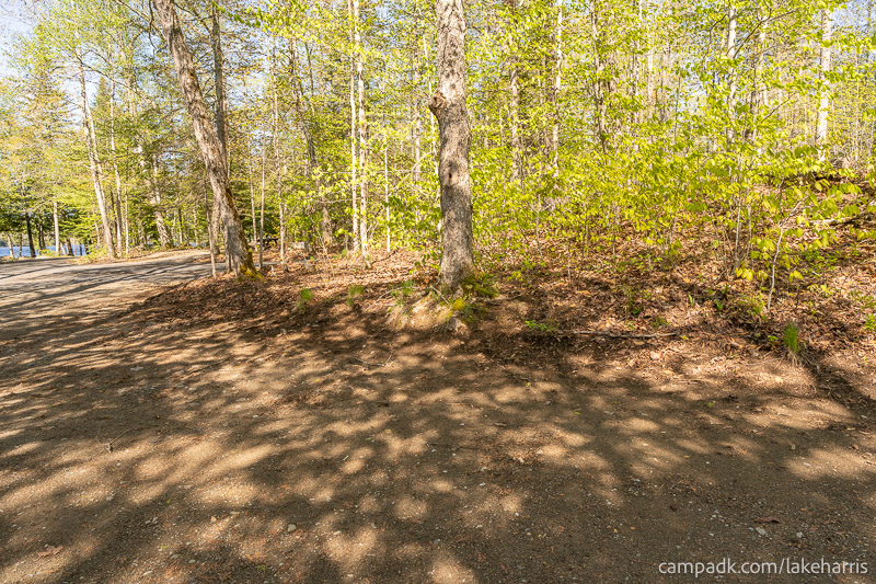Campsite Photo of Site 39 at Lake Harris Campground, New York - Cross Site View